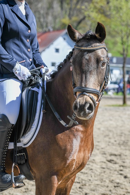 巴塞罗那突 巴塞罗那突