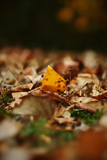 球员在比赛 球员在比赛