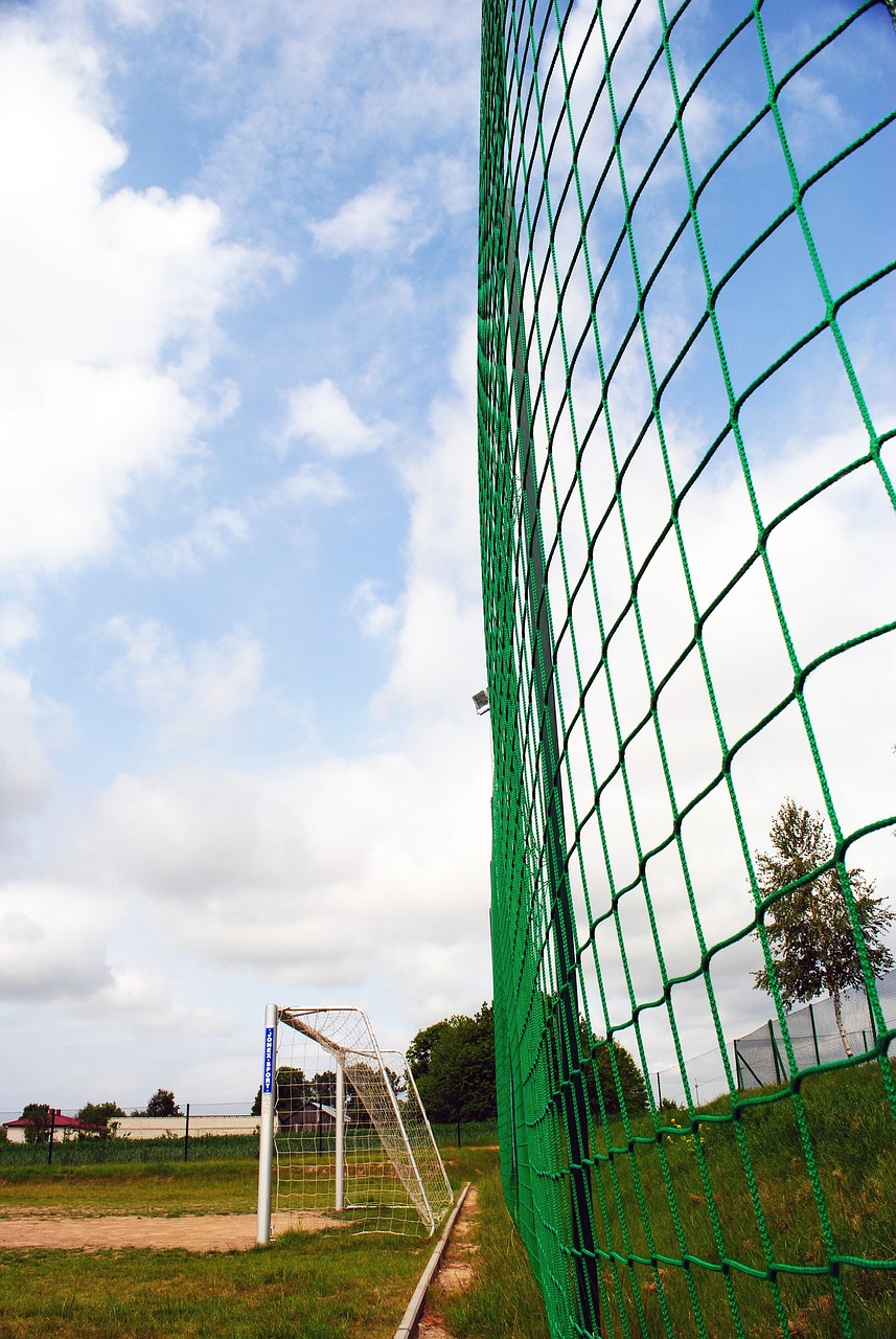 中的表现一 中的表现一