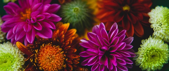 对于郑铮而 对于郑铮而