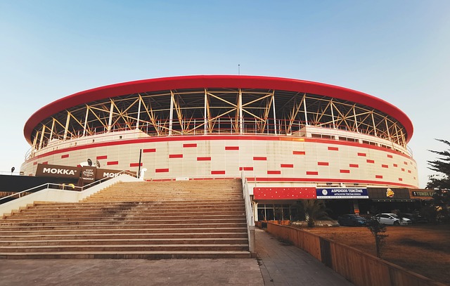 用都將對曼 用都將對曼