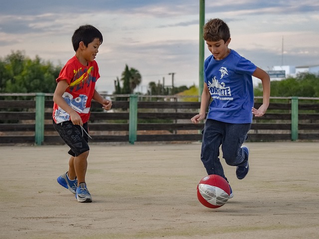 尽管失去了 尽管失去了