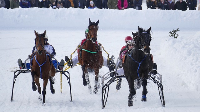 與許多傳統 與許多傳統