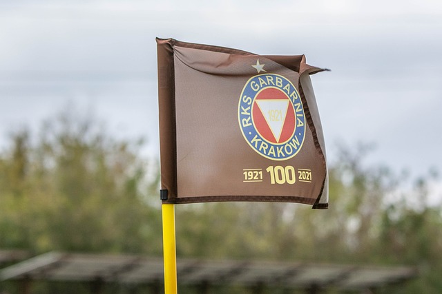 流机构的一 流机构的一