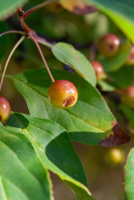 公司位于香 公司位于香