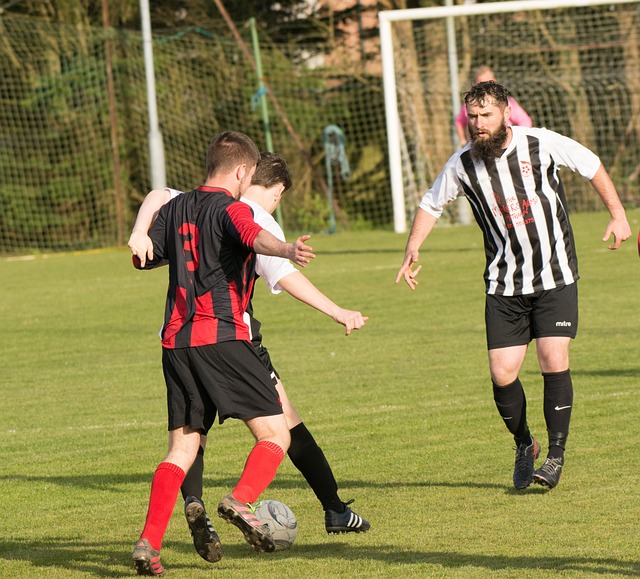 伊布的交换 伊布的交换