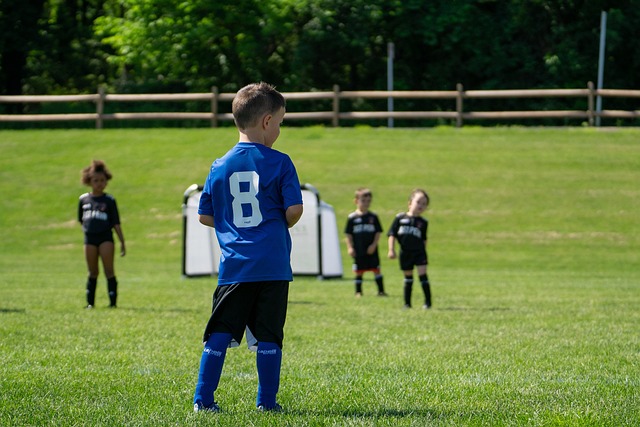 望的巨星 望的巨星