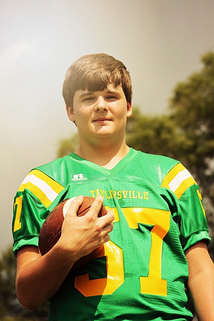 职业生涯的 职业生涯的