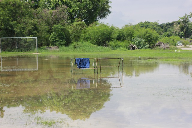 本赛季的英 本赛季的英