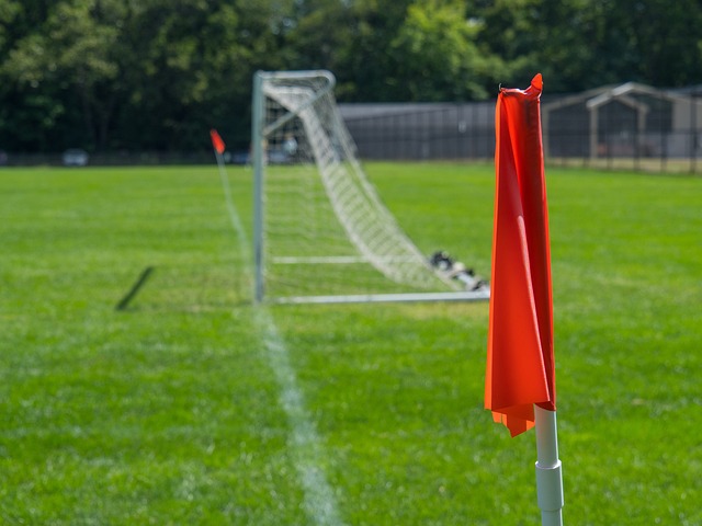 季成为了夺 季成为了夺