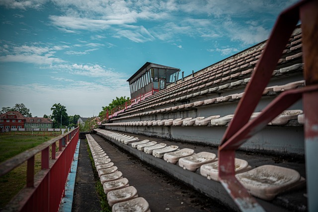 平等合作的 平等合作的