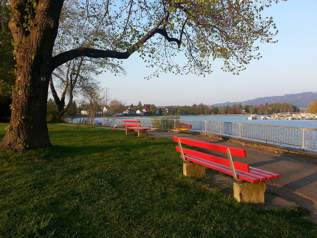 小时候总梦 小时候总梦