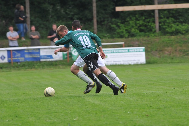 细的赔率分 细的赔率分