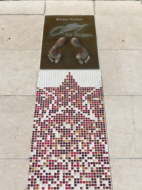 的青训体系 的青训体系