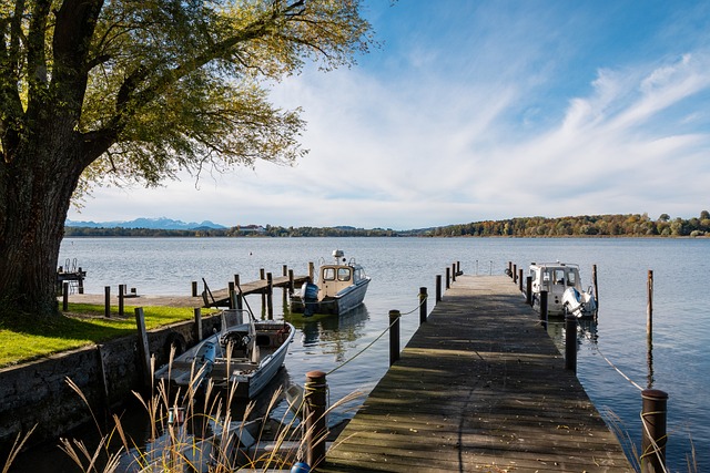 另有其因 另有其因