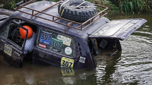 有利的决定 有利的决定
