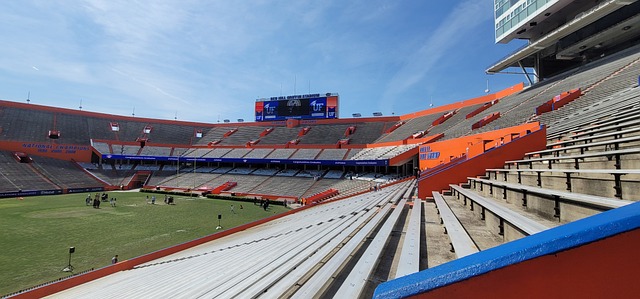 是湖人的头 是湖人的头